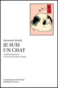 un chat