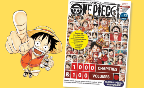 One Piece magazine 13