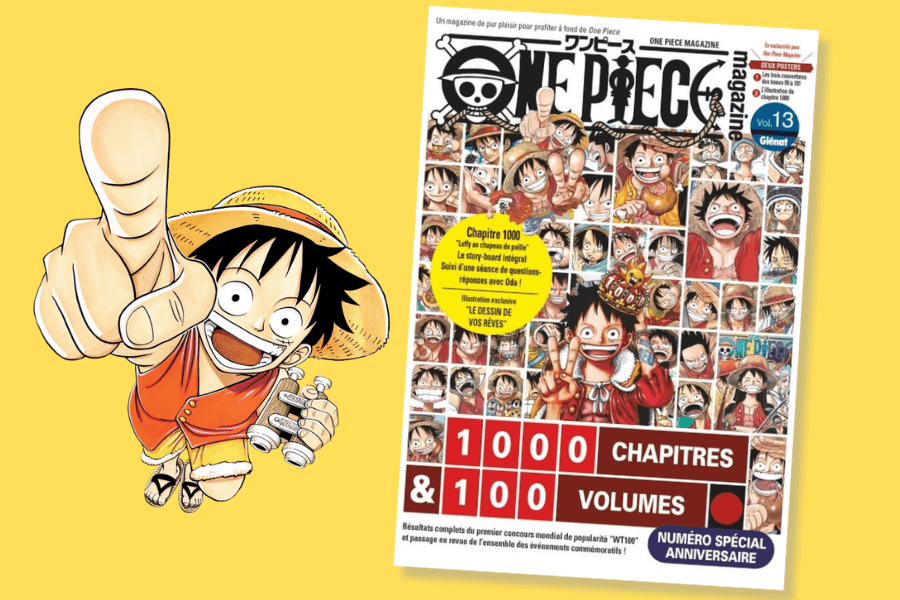 One Piece magazine 13