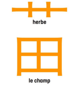 herbe le champ