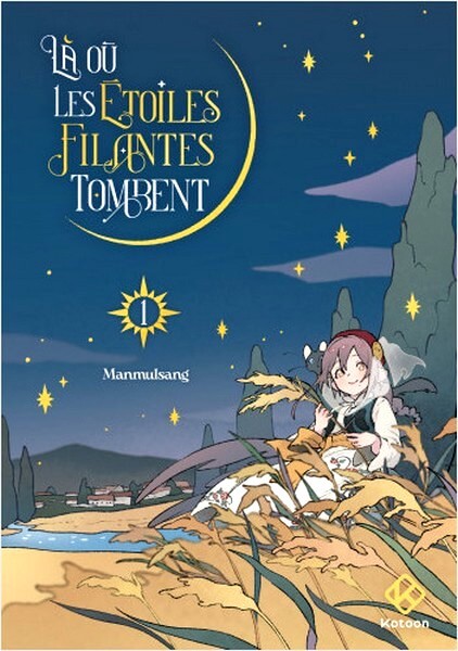 etoiles filantes