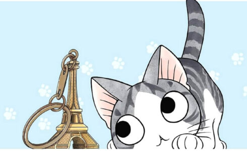 chi en france