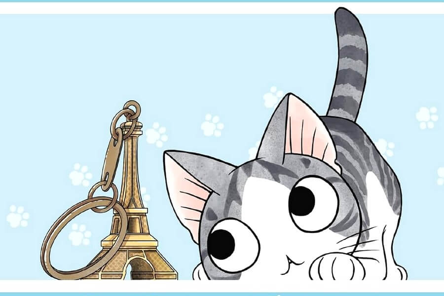 chi en france