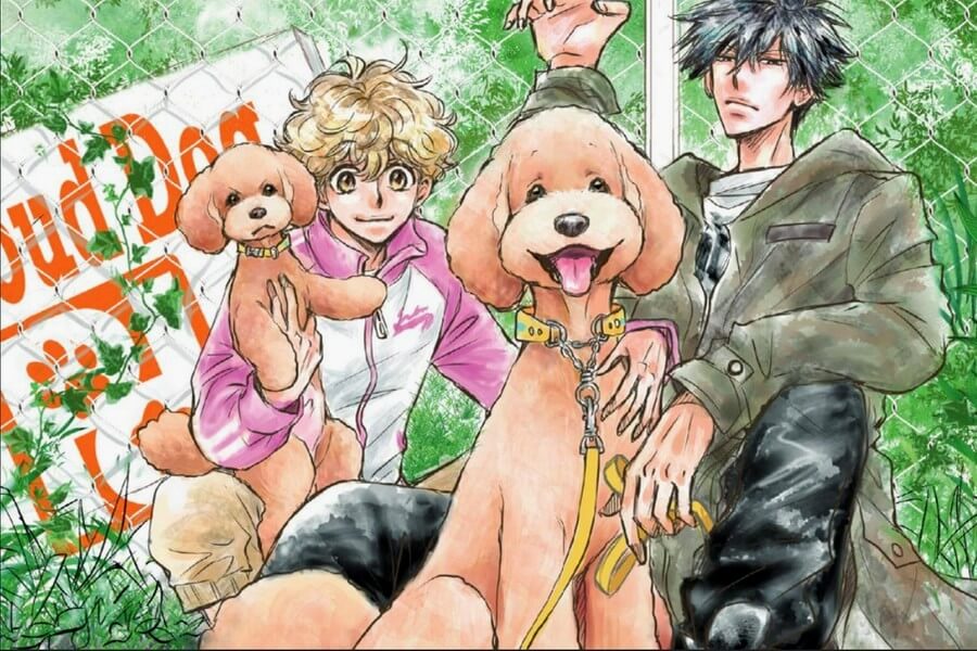 dog signa cl