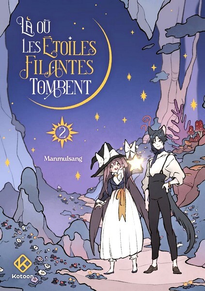 les etoiles tombent