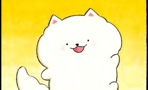 pompom c