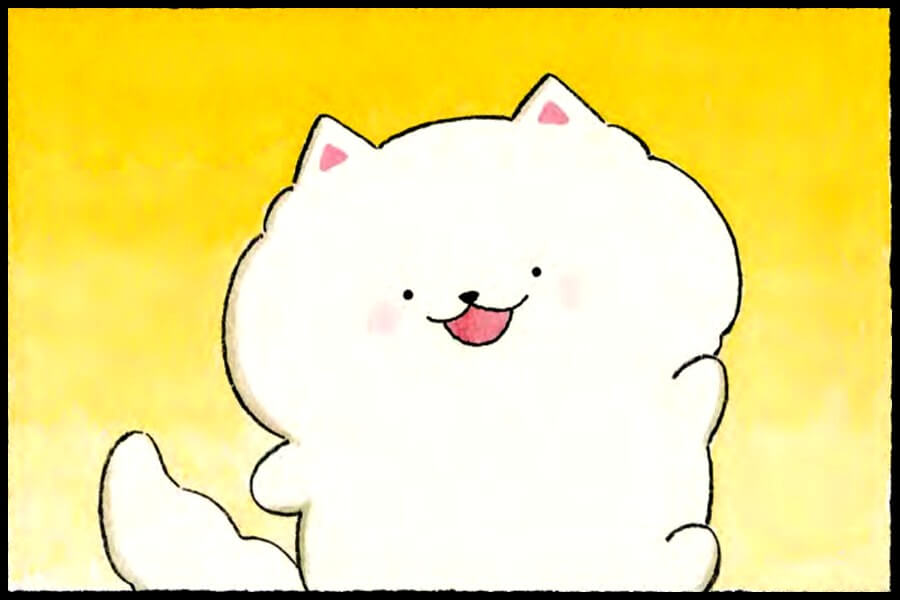 pompom c