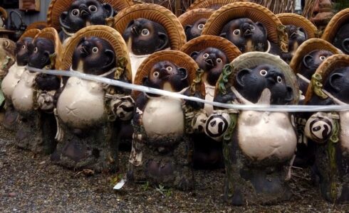 shigaraki yaki tanuki c