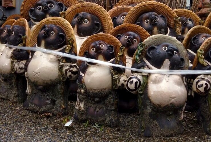 shigaraki yaki tanuki c