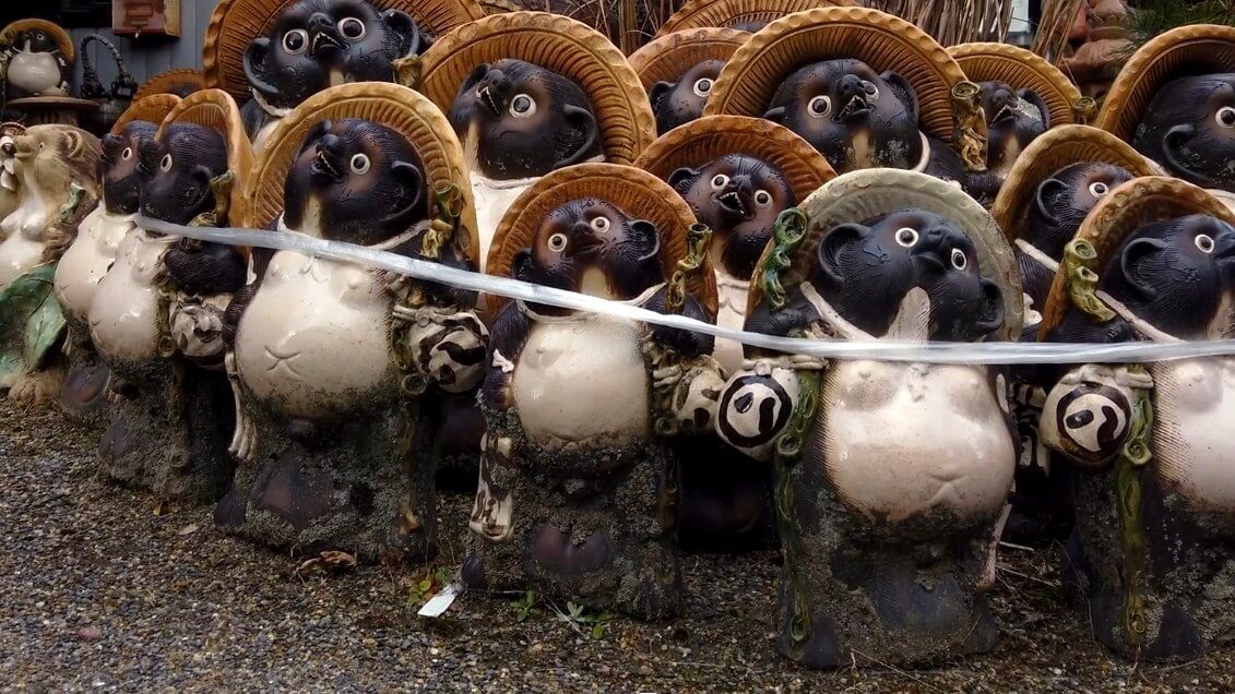 shigaraki yaki tanuki c