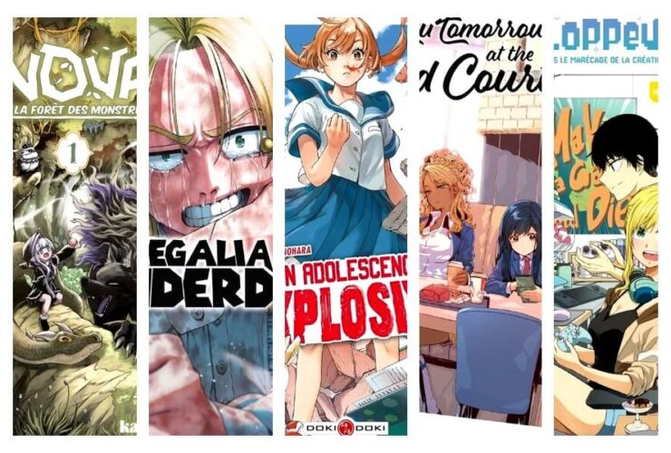 selection mangas 88