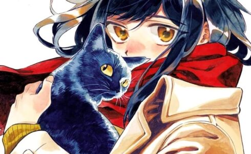 coeurs de chats c